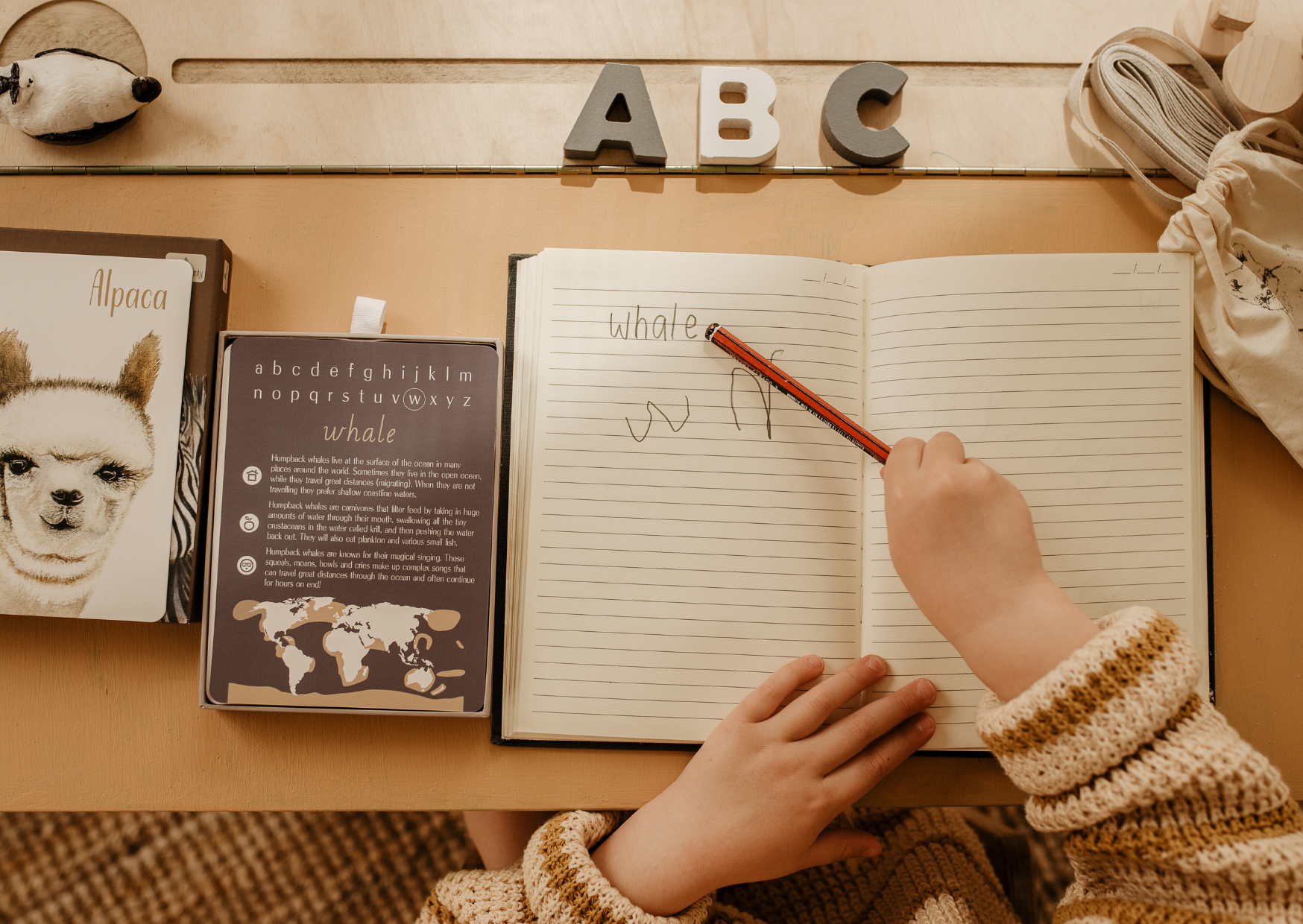 Flashcard Fun: A Simple Guide to Engaging Toddlers in Learning