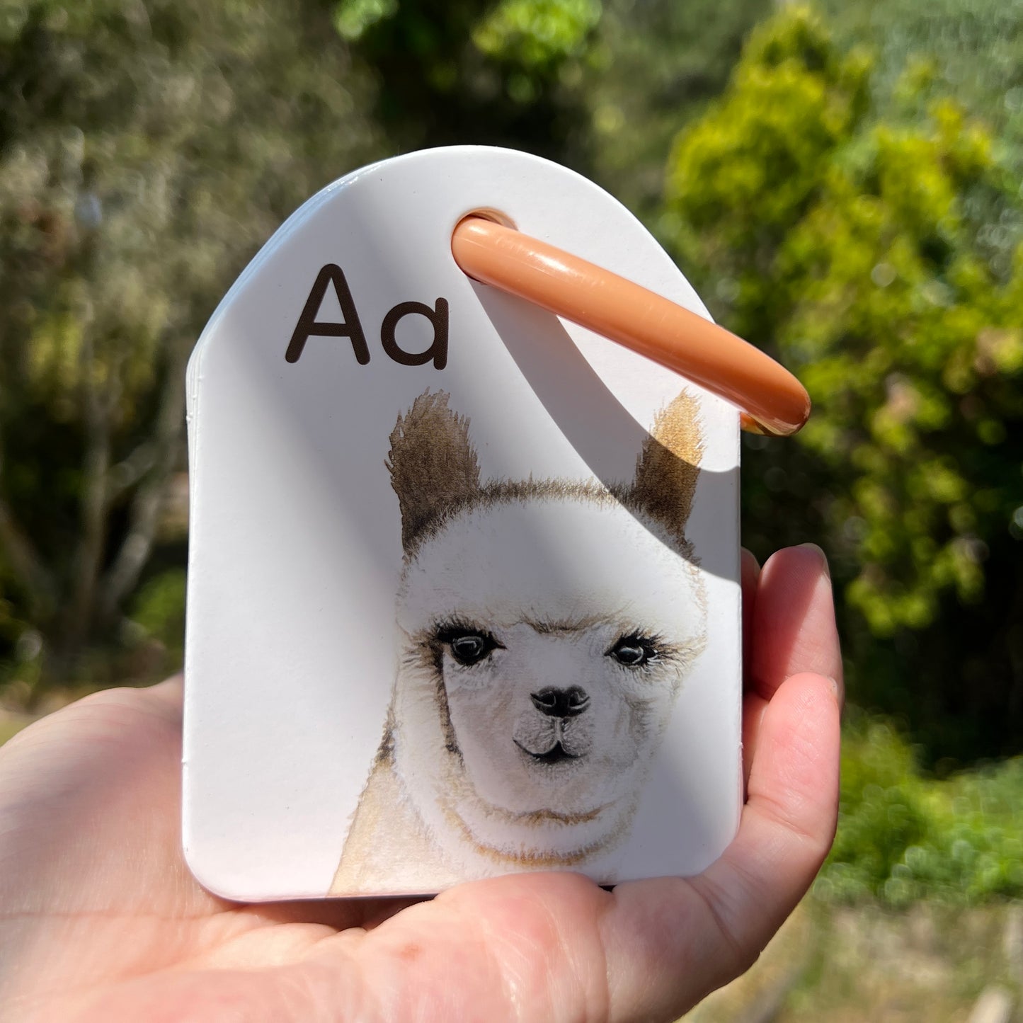 Ringed - Animal Alphabet Flash Cards