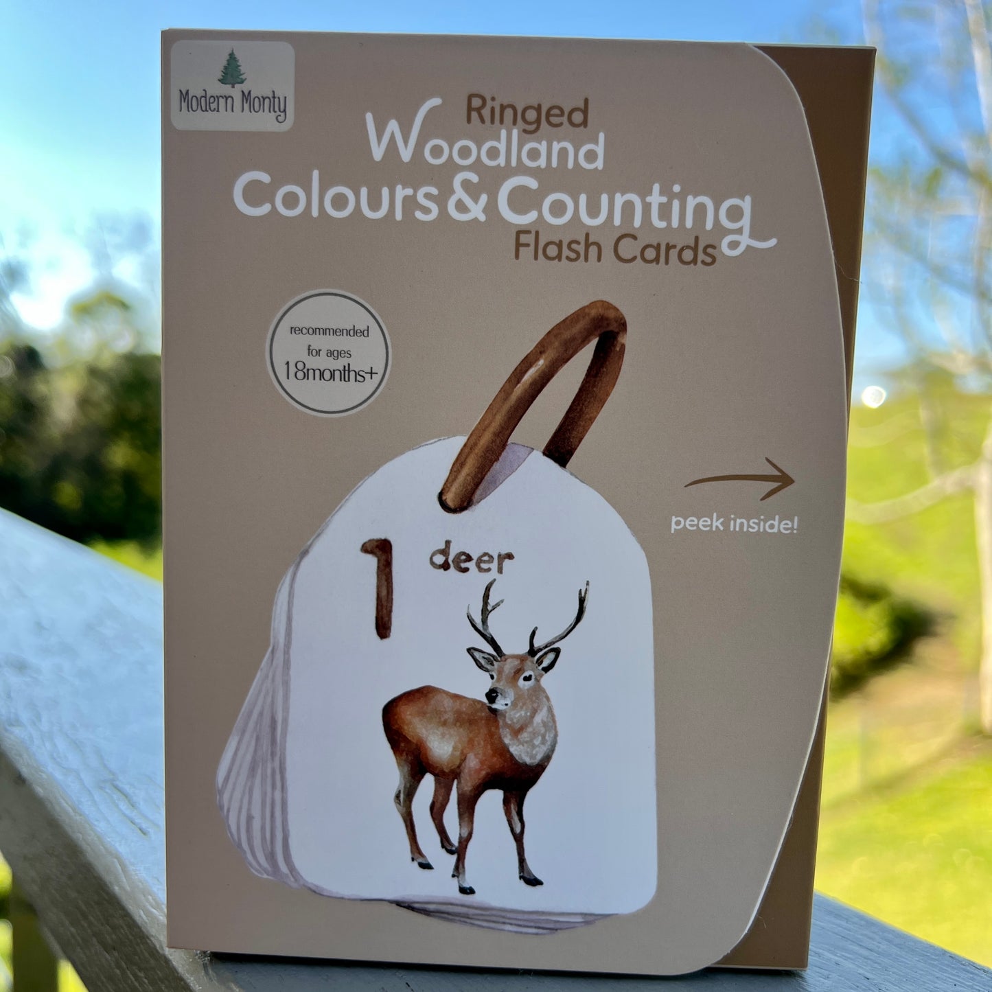 Ringed - Woodland Colours and Counting Flash Cards