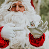 Christmas Memory Card Game