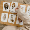 Woodland Snap & Go Fish (2 card games in 1)