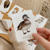 Woodland Snap & Go Fish (2 card games in 1)